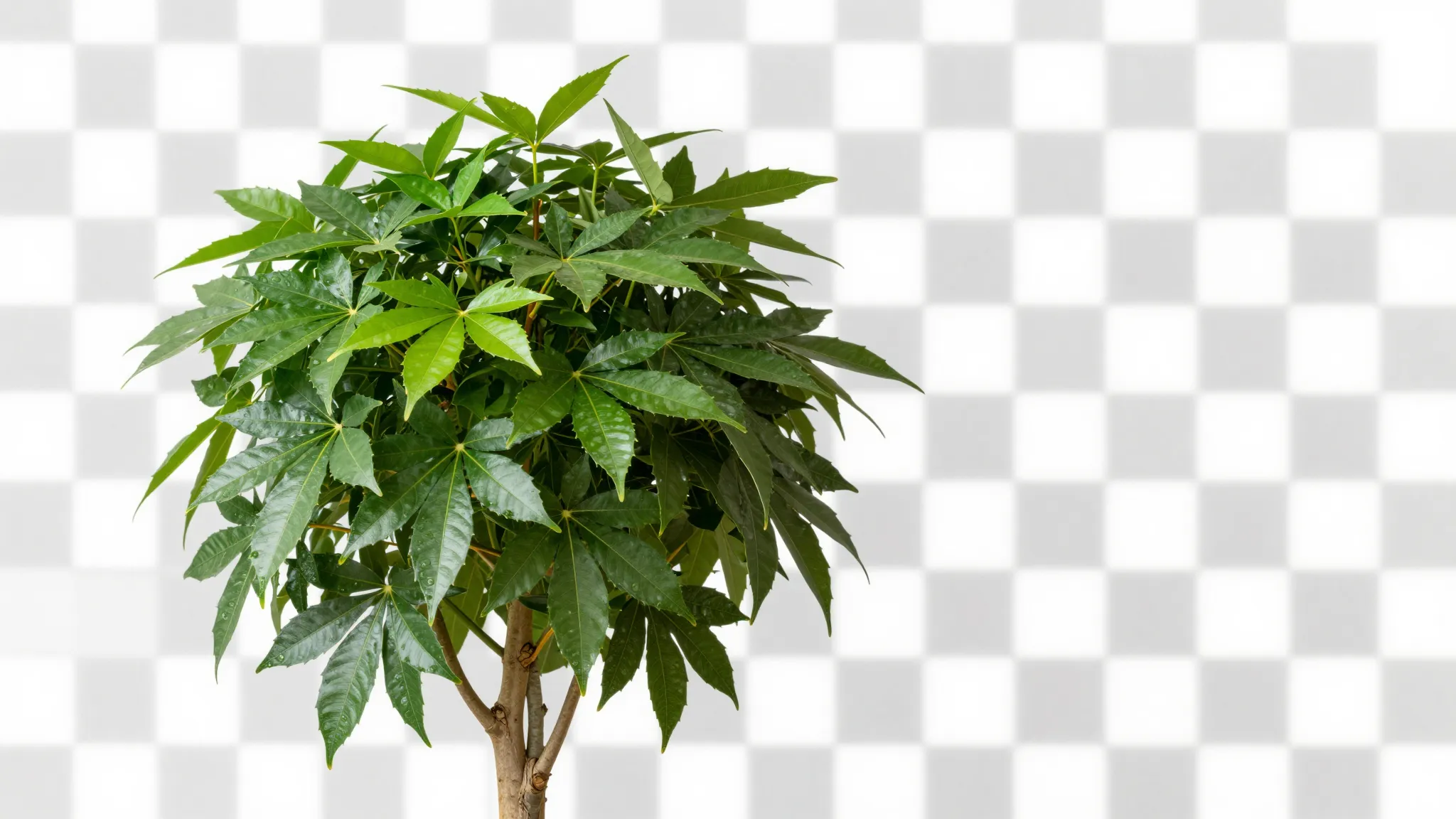 AI Background Remover