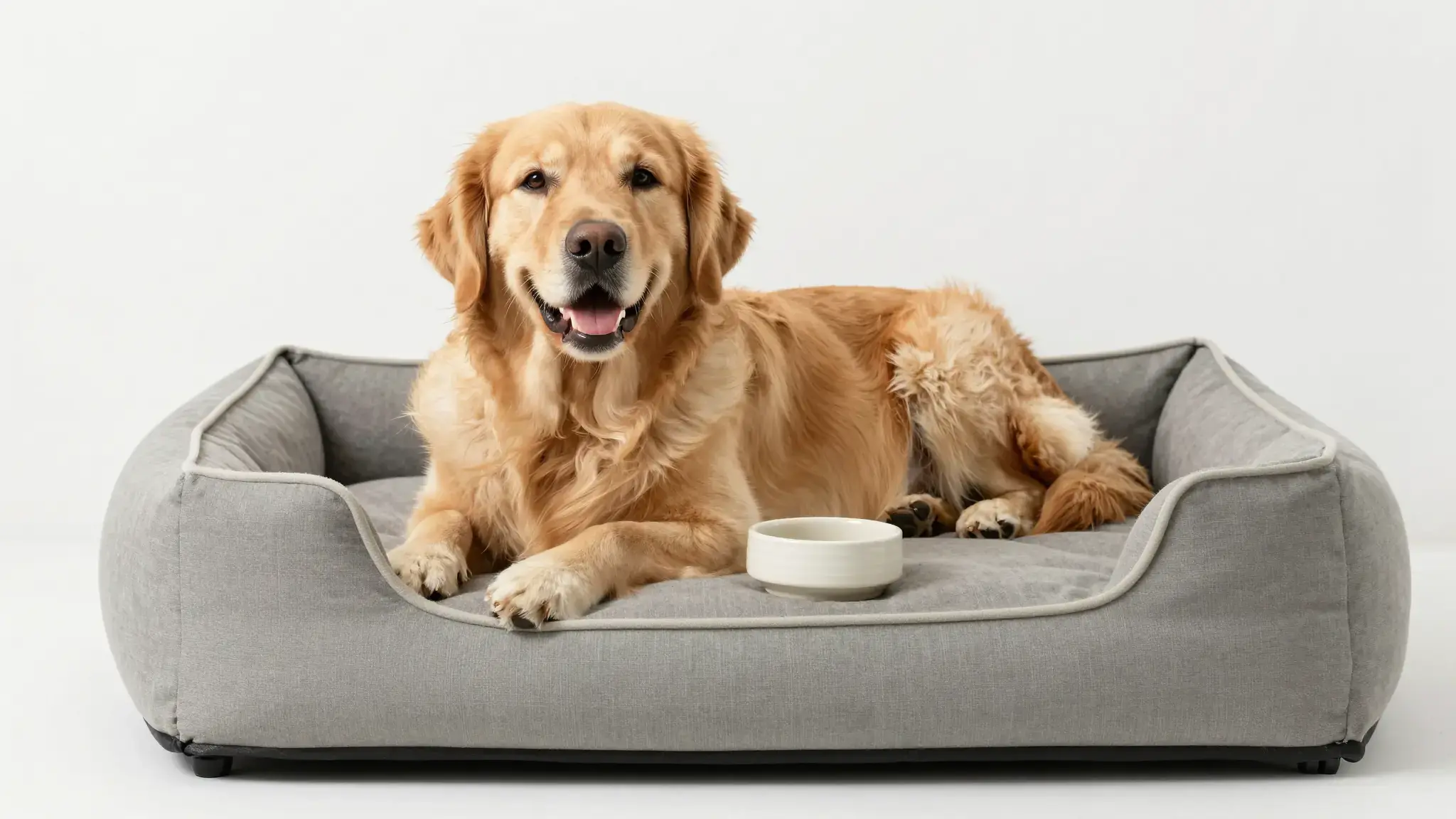 Vista previa de Anuncios de productos para mascotas